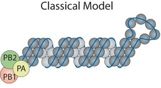 Image: Lee et al, Nucleic Acids Research (2017)